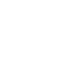 Logo ZenithGeo